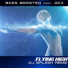 Flying High (DJ Splash Remix)