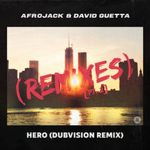 Hero (DubVision Remix)