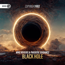 Black Hole